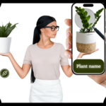 Melhores aplicativos para conhecer as plantas