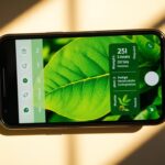 App de Escanear Plantas: Cuide Melhor do Seu Jardim