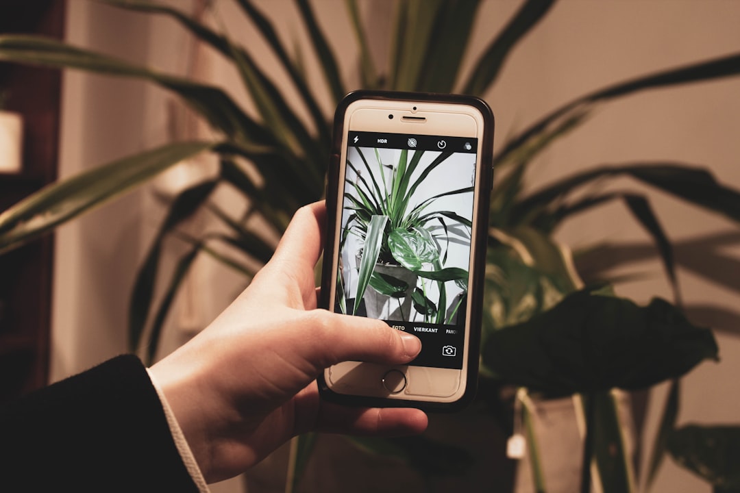 Identificador de Plantas: Baixe o App Agora