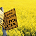 Detecte Abalo Sísmicos Pelo Celular