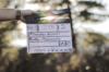 Filmes Imprescindíveis Para Seus Momentos de Lazer