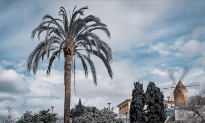 Terremotos: Informações Completas na Palma