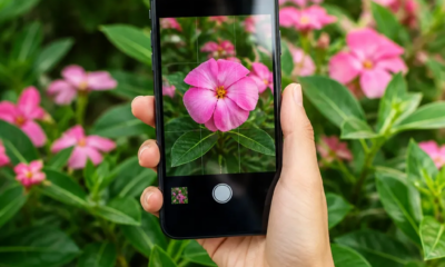 Aplicativo Para Identificar Plantas Usando Apenas Uma Foto
